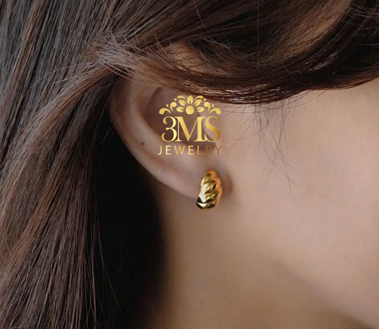 Imee Earrings (Titanium steel)